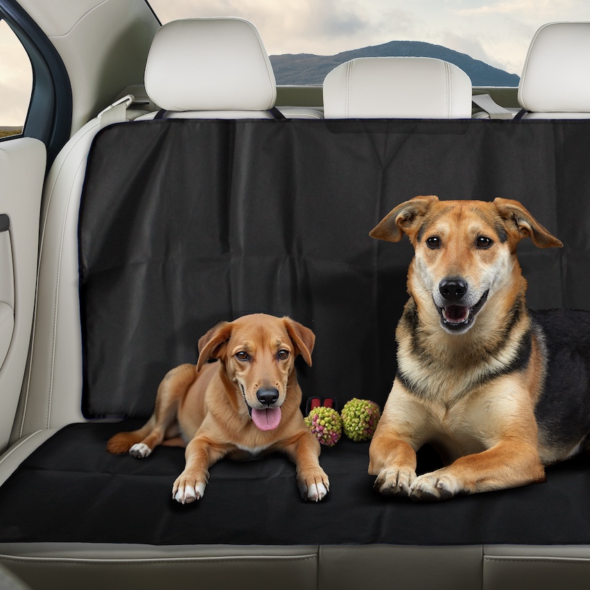 Rear Seat Protector Header Image